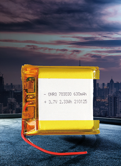 數(shù)碼/動(dòng)力型聚合物電池